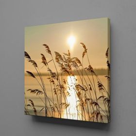 Dekor Sevgisi Çiçek Tarlası 75x50 cm Kanvas Tablo