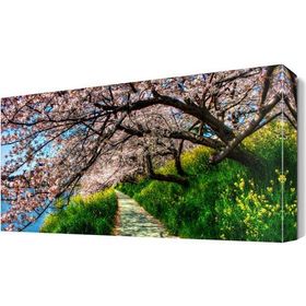 Dekor Sevgisi İlkbahar Ağaç Manzarası 105x70 cm Kanvas Tablo