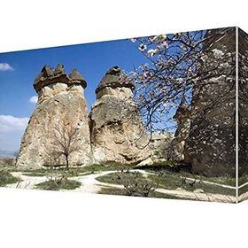 Dekor Sevgisi Kapadokya Peri Bacaları 105x70 cm Kanvas Tablo