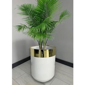 Dekoratif Gold Darbuka 60 cm Parlak Beyaz Saksı