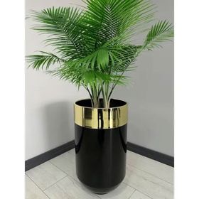 Dekoratif Gold Darbuka 70 cm Parlak Siyah Saksı