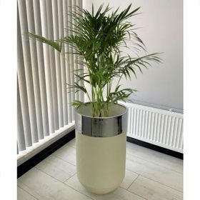 Dekoratif Krom Darbuka 70 cm Beyaz Saksı