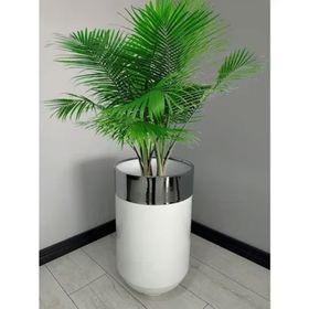 Dekoratif Krom Darbuka 70 cm Parlak Beyaz Saksı