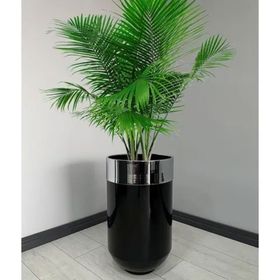 Dekoratif Krom Darbuka 70 cm Parlak Siyah Saksı