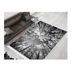 Dekoreko 1902 Desen 1 İpek Dijital Saçaklı 80x120 cm Halı