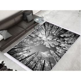 Dekoreko 1902 Desen 1 İpek Dijital Saçaklı 80x120 cm Halı