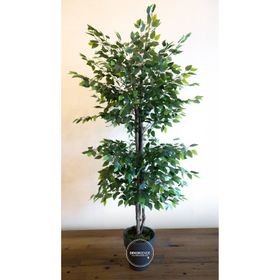 Dekorsende 170 cm Ficus Benjamin Ağacı Yapay Bitki