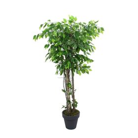 Dekorsende 170 cm Ficus Benjamin Ağacı Yapay Bitki