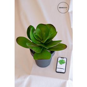 Dekorsende 25 cm Yapay Sukulent