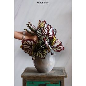 Dekorsende 32 cm Yapay Snake Demeti