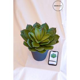 Dekorsende 35 cm Dikenli Sukulent Yapay Bitki