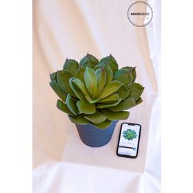 Dekorsende 35 cm Dikenli Sukulent Yapay Bitki