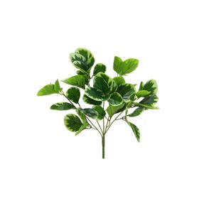 Dekorsende 35 cm Yapay Peperomya Demeti