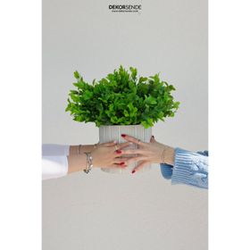 Dekorsende 37 cm Yapay Kuzu Kulağı Demeti