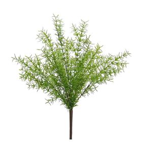 Dekorsende 40 cm Asparagus Demeti Yapay Bitki