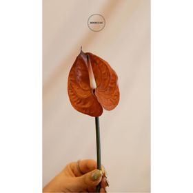 Dekorsende 40 cm Canlı Dokunuş Kahverengi Antoryum Çiçeği Yapay Bitki