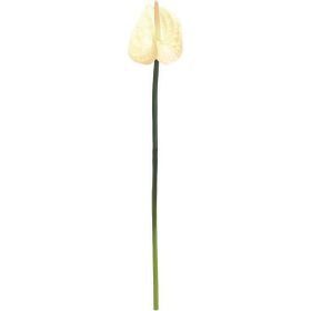 Dekorsende 40 cm Canlı Dokunuş Krem Antoryum Çiçeği Yapay Bitki