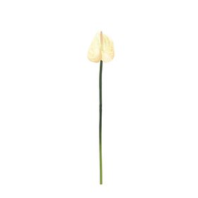 Dekorsende 40 cm Canlı Dokunuş Krem Antoryum Çiçeği Yapay Bitki