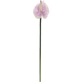 Dekorsende 40 cm Canlı Dokunuş Lila Antoryum Çiçeği Yapay Bitki