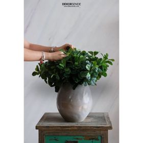 Dekorsende 40 cm Yapay Polyscias Demeti