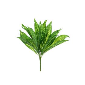 Dekorsende 50 cm Aglaonema Demeti Yapay Bitki