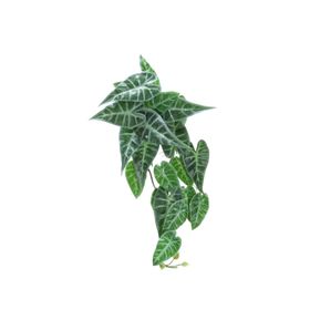 Dekorsende 55 cm Caladium Sarmaşık Demeti Yapay Bitki