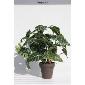 Dekorsende 65 cm Alocasia Demeti Yapay Bitki