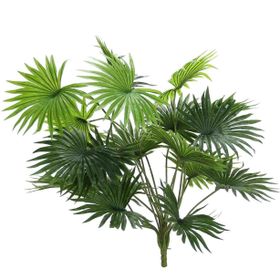 Dekorsende 70 cm Fan Palmiye Demeti Yapay Bitki