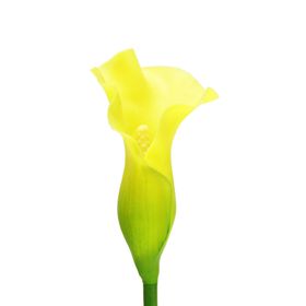 Dekorsende 73 cm Sarı Gala Dalı Yapay Bitki