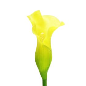 Dekorsende 73 cm Sarı Gala Dalı Yapay Bitki