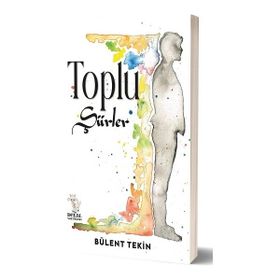 Delal Yayınları Toplu Şiirler