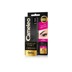 Delia Tint 1.0 Siyah Kaş Boyası
