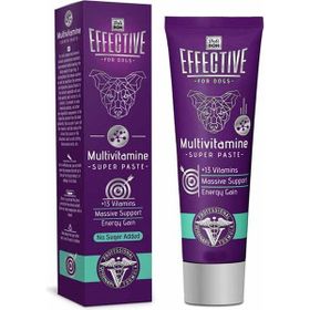 Delibon Effective Multivitamine Super 100 gr Köpek Pastası