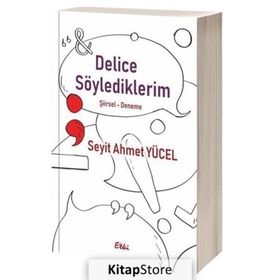 Delice Söylediklerim - Seyit Ahmet Yücel
