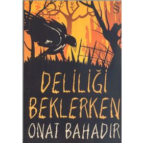 DELİLİĞİ BEKLERKEN - ONAT BAHADIR