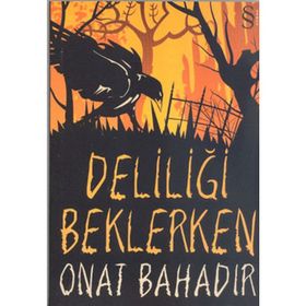 DELİLİĞİ BEKLERKEN - ONAT BAHADIR