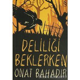 DELİLİĞİ BEKLERKEN - ONAT BAHADIR