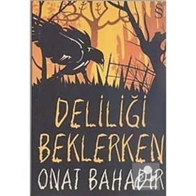 DELİLİĞİ BEKLERKEN - ONAT BAHADIR