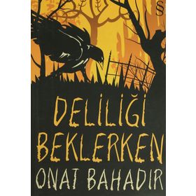 DELİLİĞİ BEKLERKEN - ONAT BAHADIR