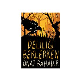 DELİLİĞİ BEKLERKEN - ONAT BAHADIR