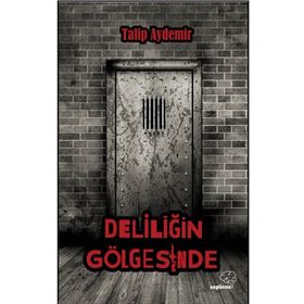 Deliliğin Gölgesinde - Talip Aydemir