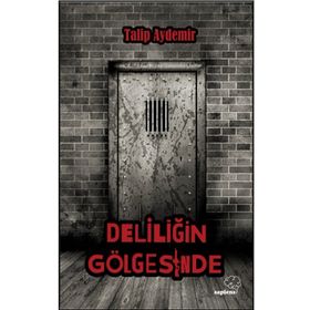 Deliliğin Gölgesinde - Talip Aydemir
