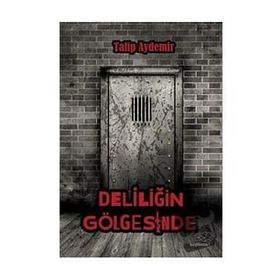 Deliliğin Gölgesinde - Talip Aydemir