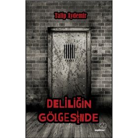 Deliliğin Gölgesinde - Talip Aydemir