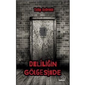 Deliliğin Gölgesinde - Talip Aydemir