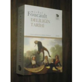 DELILIĞIN TARIHI - MICHEL FOUCAULT