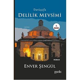 Delilik Mevsimi - Enver Şengül