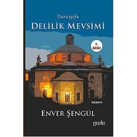 Delilik Mevsimi - Enver Şengül