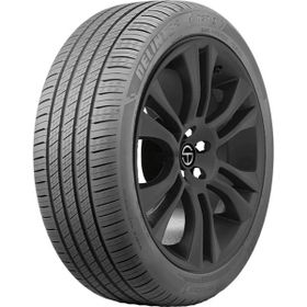 Delinte DST1 215/55 R17 98W XL Yaz Lastiği 2026