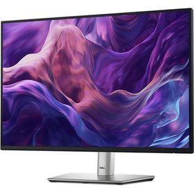 Dell P2425E 24 inç 100Hz 8ms Monitör